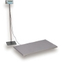 Avery Weigh-Tronix / Salter-Brecknell Light Weight Veterinary Floor Scale